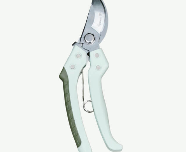 plants ecommerce accessories product featured img 3